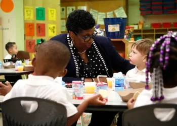 서배너 챠탐 카운티 교육감 앤 레벳트, 학년말에 은퇴 예정