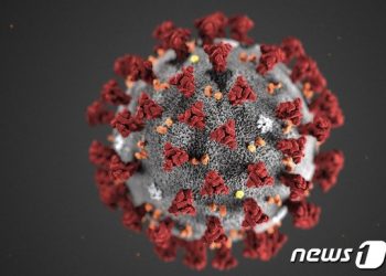 美 XBB.1.5 감염 비중 일주일새 30→43%