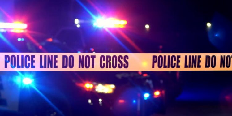 채텀카운티 섀드(Shad)로드 총격으로 1명 사망, 1명 부상