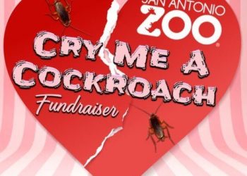 “바퀴벌레에 전 애인 이름 붙여서 먹이로”…동물원 이색이벤트 화제