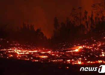 칠레 산불로 사망자 최소 23명…남부 재난지역 선포