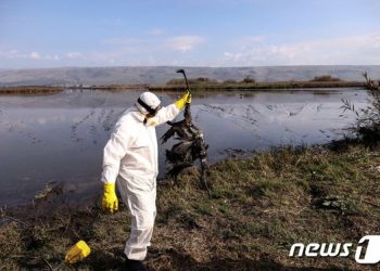 WHO “조류독감 상황 걱정스럽다…각국 경계 강화하라”