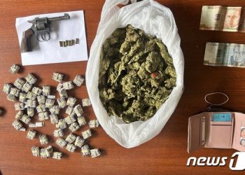 ‘코카인 경보’…전세계 재배량 35% 급증해 ‘사상 최고’