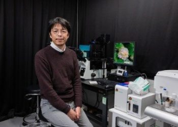 수컷쥐 2마리로 새끼쥐 출산 성공…향후 동성커플 출산길 열리나