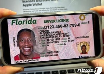美 일리노이, 모바일 운전면허증 도입 임박