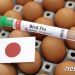 “살처분한 닭 묻을 땅이 없네”…日 덮친 사상 최악의 조류인플루엔자