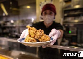 日, 기능 외국인 장기 취업 비자 발급 분야 확대안 검토중