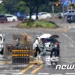 ‘지구 역사상 가장 더운 날’ 기록 하루 만에 경신…평균 기온 17.18도