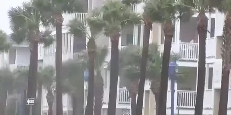 허리케인 이달리아의 영향으로 인한 지역 비상사태 선포 예정 – Van Johnson Savannah 시장