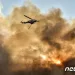 ‘시신 18구 불탄 채 발견’…그리스 산불 참사로 최소 20명 사망