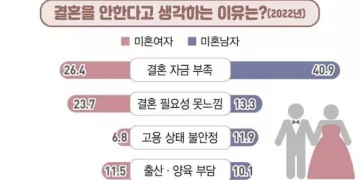 청년 결혼 안 하는 이유 1위 ‘자금 부족’…비혼 동거 81%가 동의