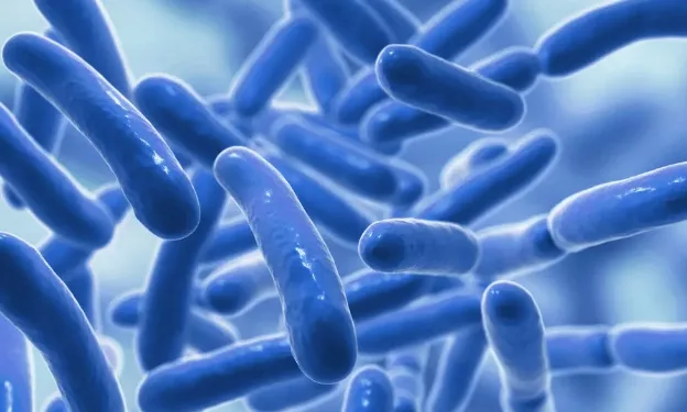FDA 영유아 사망으로 인한 병원내 프로바이오틱스 사용에 대해 경고