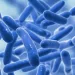 FDA 영유아 사망으로 인한 병원내 프로바이오틱스 사용에 대해 경고
