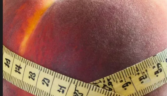 조지아, 과체중 상위 20개 주에 포함