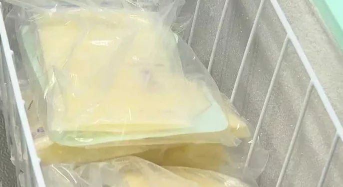 서배너에서 최초의 커뮤니티 우유 동맹 출범