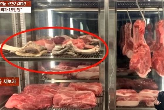 제주 ‘비계’ 흑돼지집 전직원 “손님에 상한 고기 주고, 리뷰 조작” 폭로