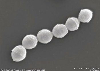 日 ‘식인 박테리아’ 환자 977명으로 폭증 비상…치사율 30%