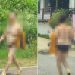 양평 ‘나체 여성’ 2차선 도로 활보…”일광욕 같았다” 목격자 황당