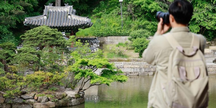 창덕궁 후원에 90㎏ 멧돼지 출몰…발견 이틀 만에 ‘사살’