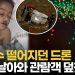 [영상] 총알처럼 날아와 7세 소년 덮쳐…美 드론쇼에서 무슨 일이