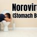 새로운 노로바이러스 변종, 전국 확산… 손씻기외 철저한 위생 관리 필수