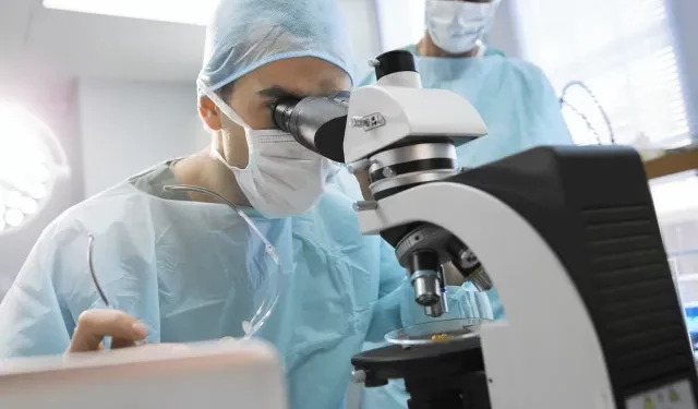 CDC ‘치료제 없는 곰팡이 확산’ 경고… 조지아 병원도 비상