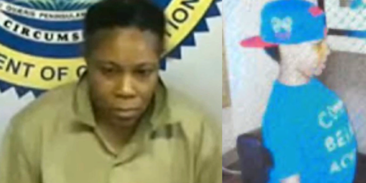 아들을 살해하고 조지아로 도주한 여성… 또 다른 자녀는 영하 가까운 차 안에 방치