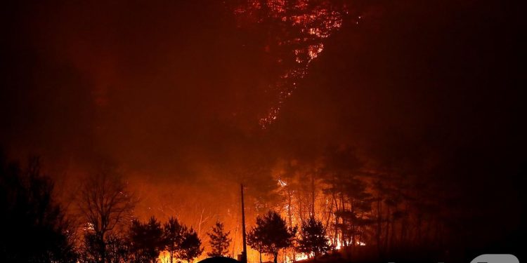 의성 산불, 인근 지자체로 전방위 확산…화염 휩싸인 경북 북부