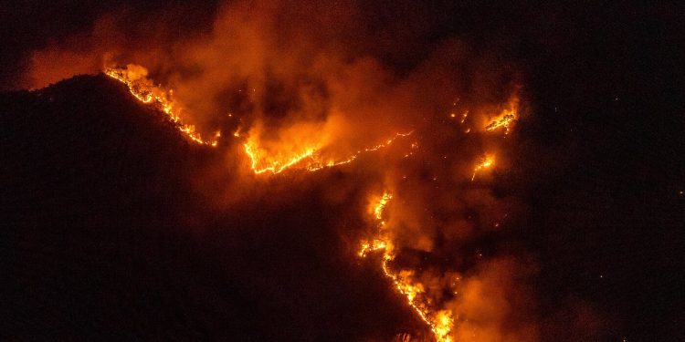인명 피해 속출하는 ‘역대 최악 산불’…경북 북부 초토화