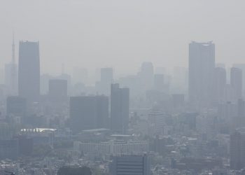 사바나 공기 질 ‘A→B’로 하락… 애틀랜타는 남동부 스모그 오염 3위