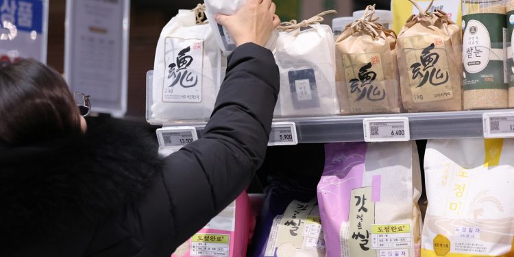 “싸다 쌀, 왜 이렇게 싸?”…日 관광객이 韓서 이고 지고 가는 것