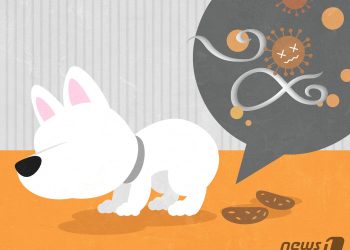 반려동물의 기생충, 사람도 옮는다…응답자 절반 “몰랐어요”