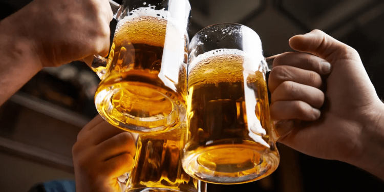 “하루 한 잔이면 괜찮다”는 믿음, 맥주 500mL엔 예외였다