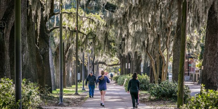 사바나 주말 뭐할까? 달리고, 먹고, 즐기는 추천 이벤트 모음