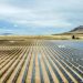 ‘한국 돈으로 짓는 美 초대형 태양광 발전소… 6만 가구 전력 공급’