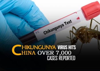 ‘치료제 없다’…中 8000명 확진 치쿤구니야 열병, 대만에도 유입