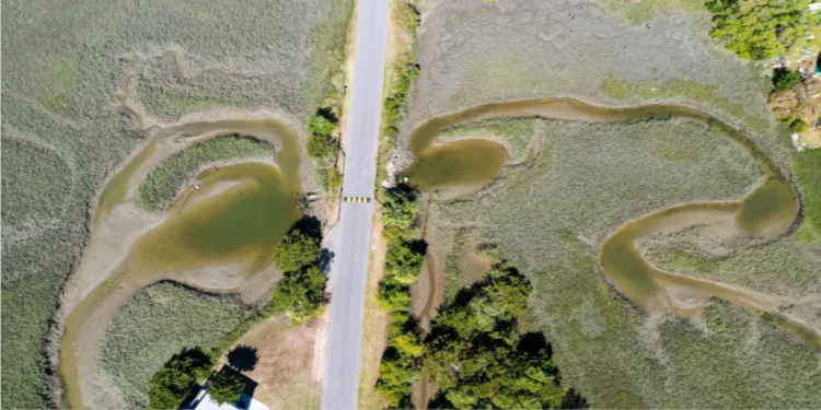 타이비 아일랜드, 8천만 달러 홍수 대응 종합대책 마련