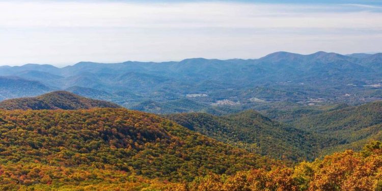조지아 최대 사유지 보유자 ‘웨이어하우저’… 75만 에이커 소유