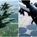 주한미군 오산기지 A-10 전투기 24대 전량 철수…일본서 최신 F-16 배치