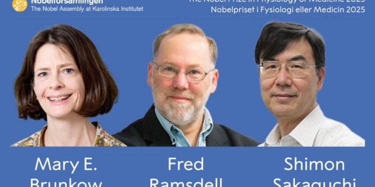 면역 시스템 작동 비밀 밝혔다…’난치병’ 실마리 찾아 ‘노벨생리의학상’