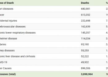 美 사망원인 톱10…심장질환·암이 41.8% 차지, 사고사 3위