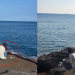 제주 용머리해안서 아이 대변 뉘고, 그대로 떠난 외국인 관광객 ‘황당’