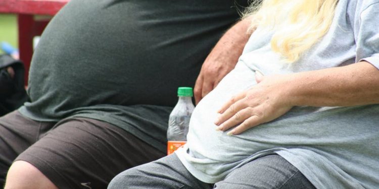 조지아주, 미국 ‘비만율 상위 20개 주’에 포함