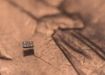 “소금보다 작은 AI 로봇, 단돈 14원”… 의료·반도체 공정 ‘게임 체인저’ 등극