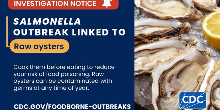 질병통제예방센터, 조지아주 살모넬라 집단감염 생굴과 연관 확인