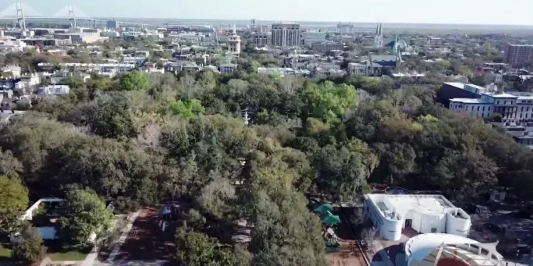 사바나 포사이스 공원 인근 ‘묻지마 산성 공격’ 발생