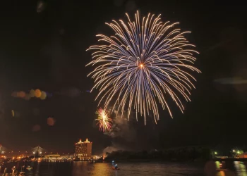 사바나 경찰, 새해맞이 축하 총기발포 강력 경고
