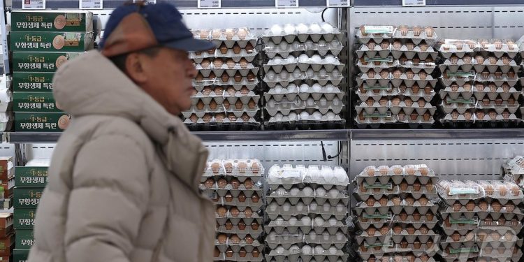 수입물가 1년 7개월 만에 최대 상승…환율 급등 영향에 5개월 연속↑