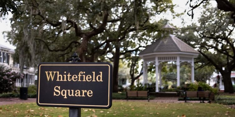 사바나 화이트필드 스퀘어, 지하 무표지 묘 조사 착수