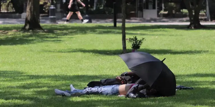 조지아, 한겨울에 ‘이례적 고온’… 일부 지역 기록 경신 가능성